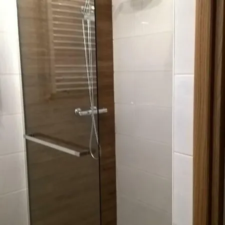 Sokolowka Apartment