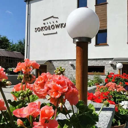 Sokolowka