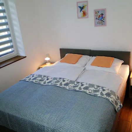 公寓 Sokolowka 波兰尼卡-兹德鲁伊