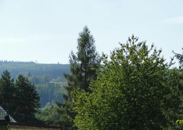 Sokolowka Apartman *