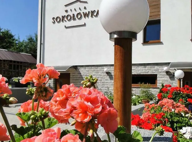 Sokolowka